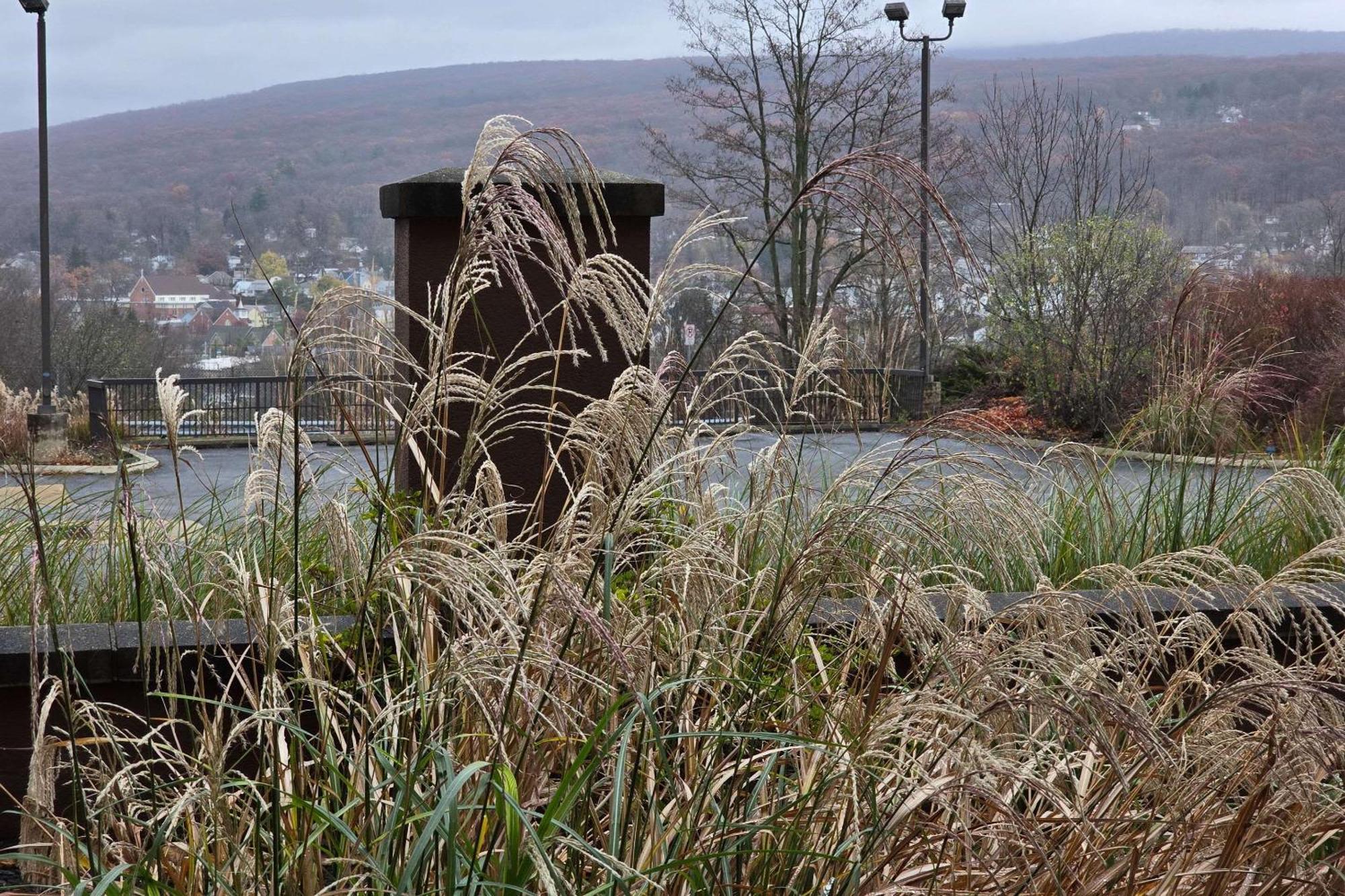 Country Inn & Suites By Radisson, Convention Center Altoona Exterior foto